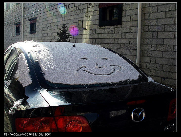 ������ѩ