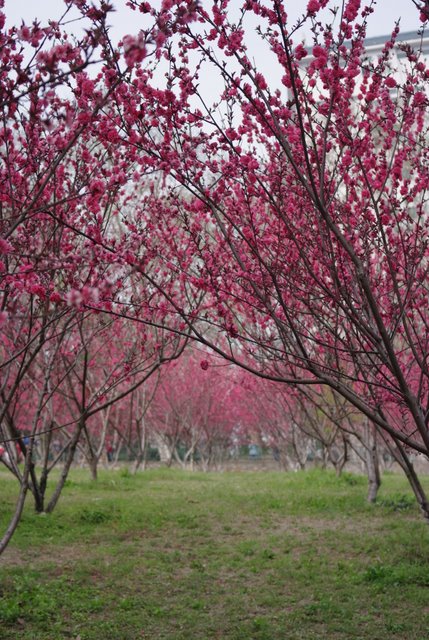 ����ʦ�����һ�������