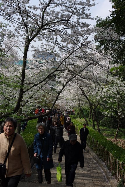 ������˲���