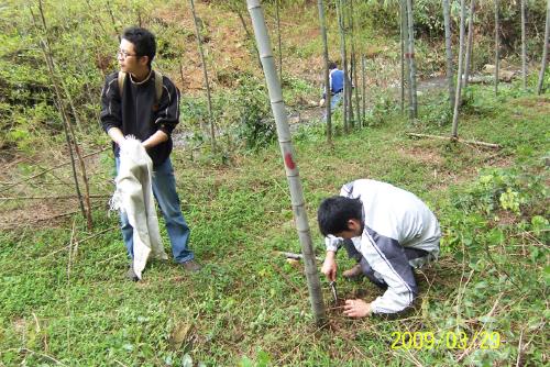 ������������������