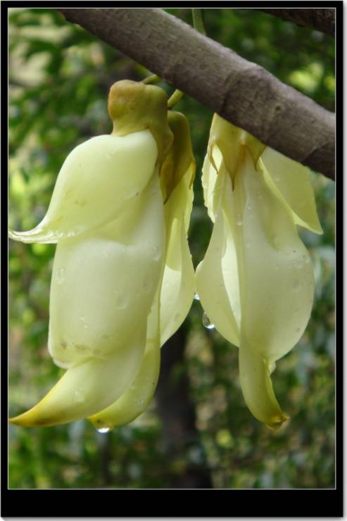 ��������ȸ��