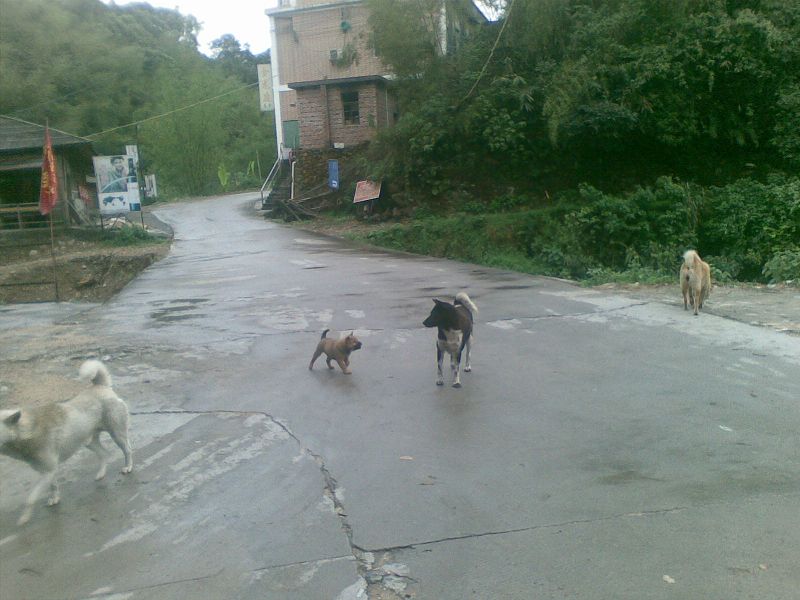 �ӿ��кܶ๷��