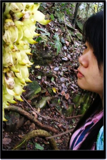 �����ȸ��