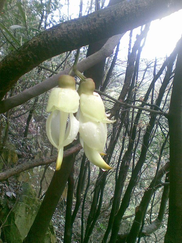 ������ˮ��ĺ�ȸ��