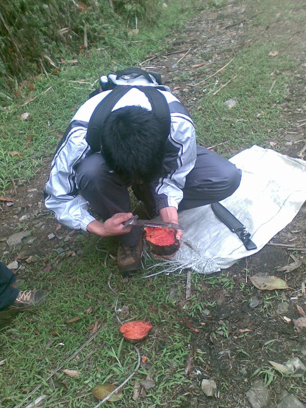 ִ�ñ�����������������