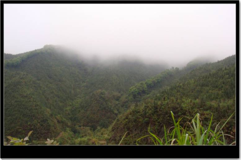 ��ɽ�ϵ���������