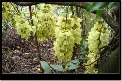 ���Ǻ�ȸ��