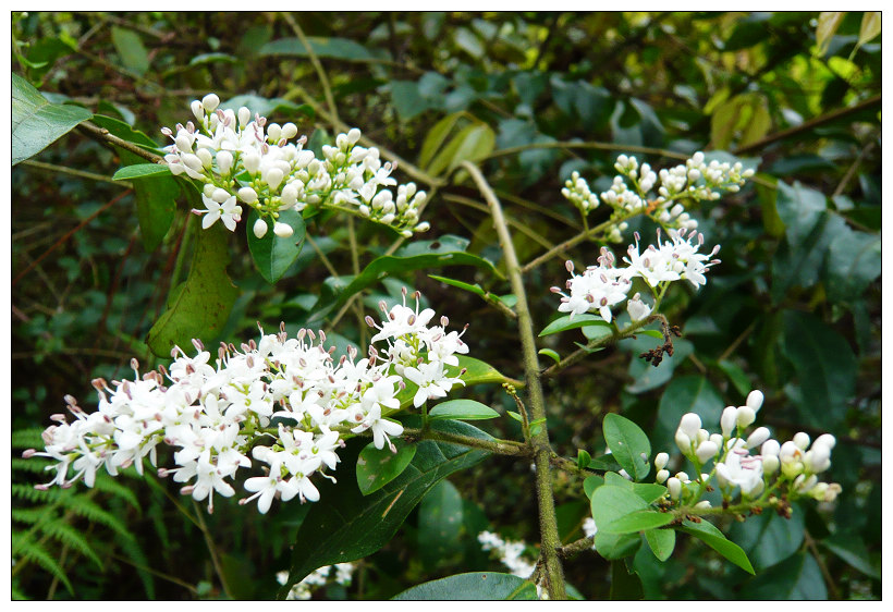 �ٺ�,·�ߵ�Ұ��!