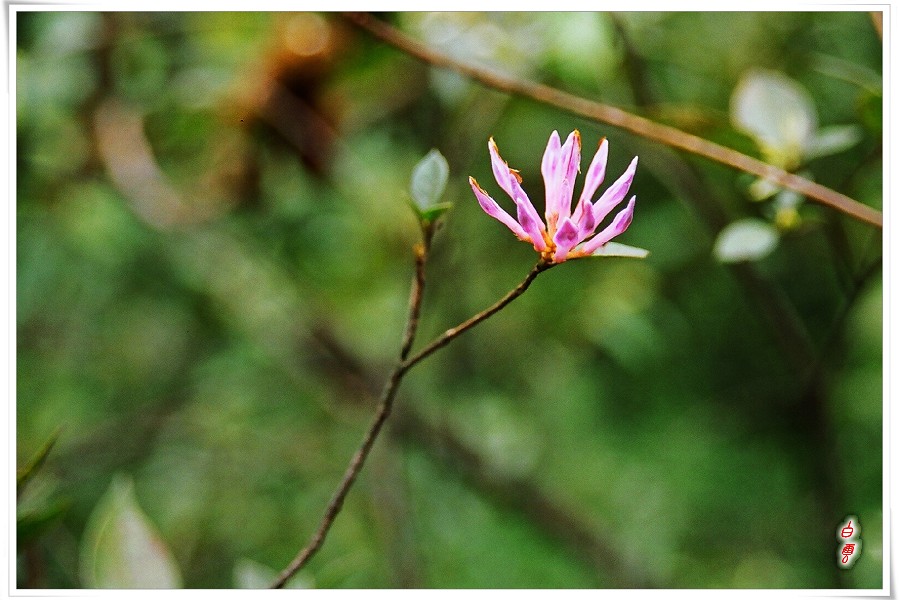 ��֪���Ļ�������ʶ�����Ѹ�֪