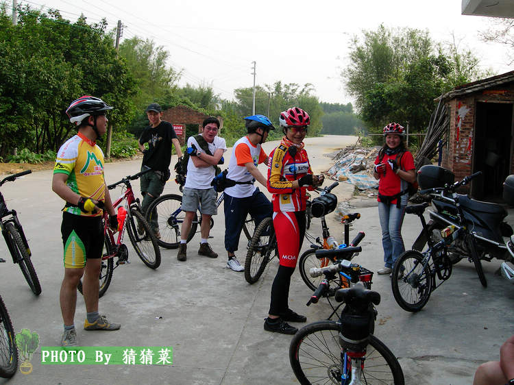 ���·�ϼɽ����