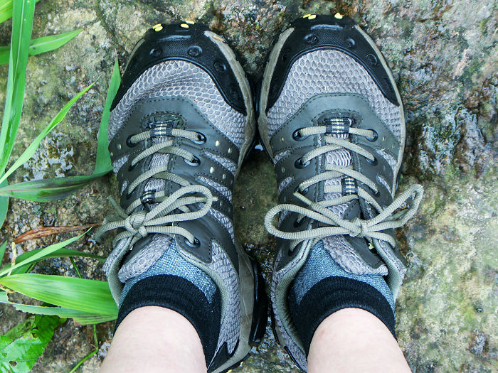 ����˼������ɹɹ