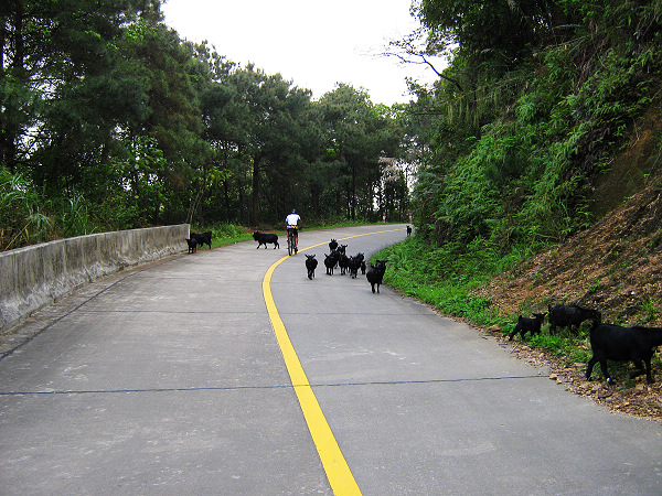 �ڱ�ż����ɽ��