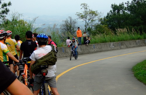 �ý����˶�