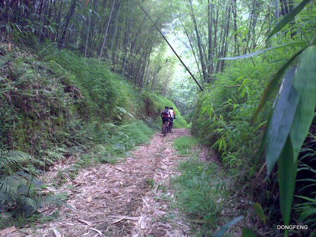 �󲿶ӳ����ؼ�