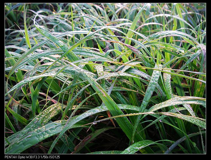 ���׶���¶