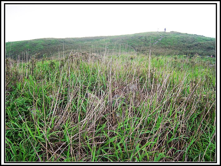 35 ����Ǵ���.jpg