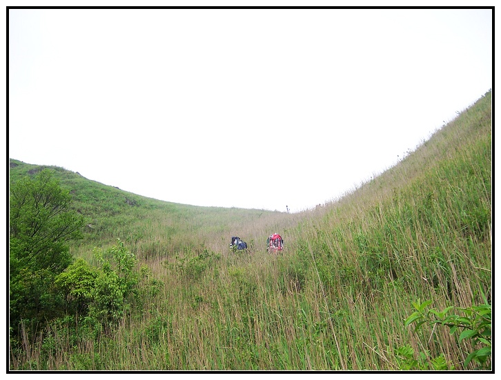 22 ��ãã�ݵ�������.jpg