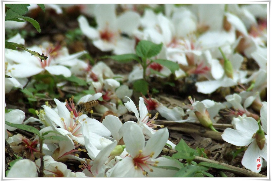 ����һ�ص���ͩ�����е�����