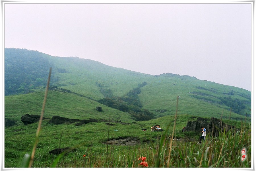 ����£���ϧ���ǹ�Ǿ����Ĳ�������µ�����