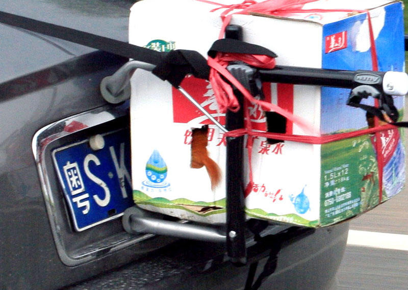 �ҵ�VIP������Ȼ��խ�˵㣬�������ѽ������ˬ���ˣ���������һ�㶼 û�뵽������ʡ�Ǻ��ɱ��֮����