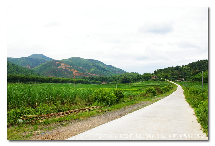 ˼Ħõ壬ߵøԶõõķ