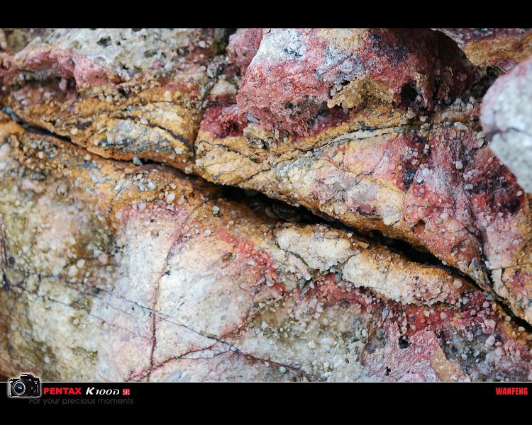 �������С�з