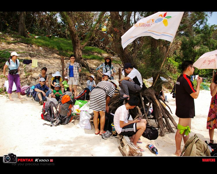 ��Ҷ���ʰ����װ,׼����������������ŵ�֮��