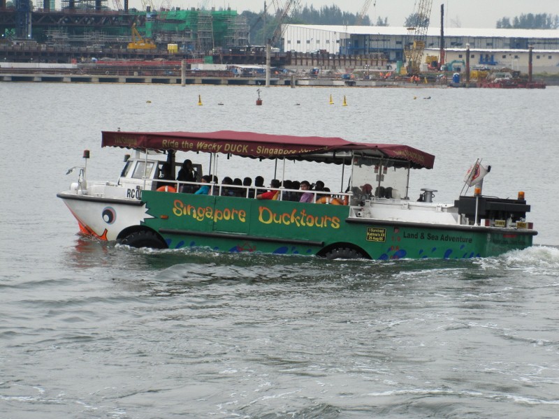 ţ����½����