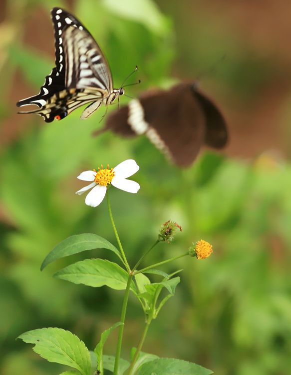 nEO_IMG_���� IMG_7442����.jpg