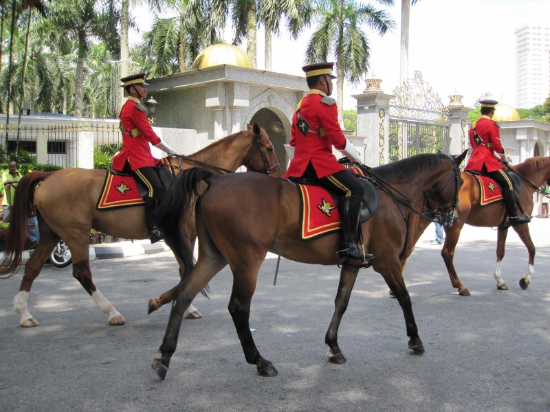 �������ǵĻʹ����