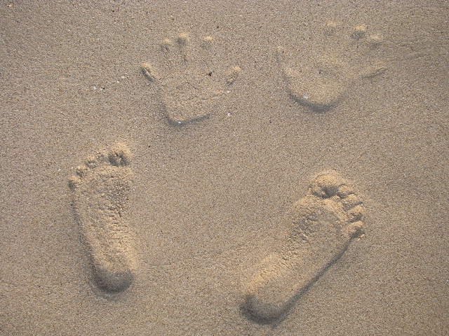 ��ֵ��֡���ӡ