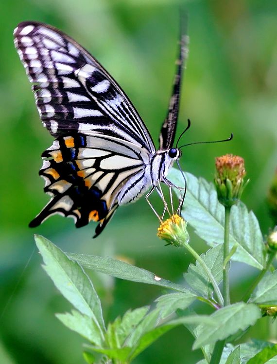 nEO_IMG_���� IMG_7468����.jpg