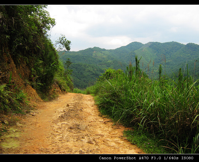 ·ǴӶɽϹġС·ϡɼ