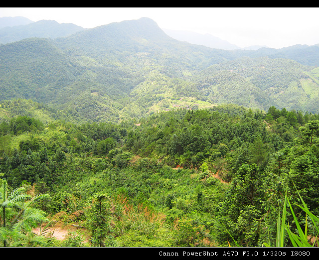 Ҫߵ·ӽ·ɽٷĴɽ͵