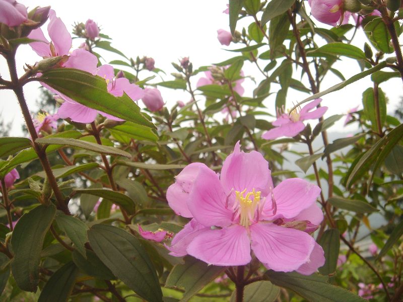 ��Ƭ12345 115.jpg