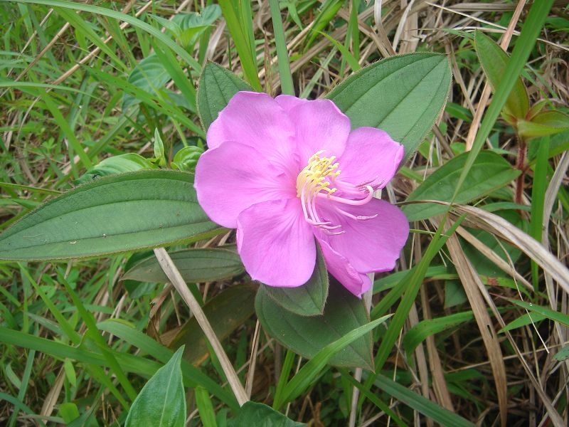 ��Ƭ12345 114.jpg