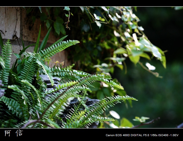 ��ת ��ת ��Ƭ 036_nEO_IMG.jpg