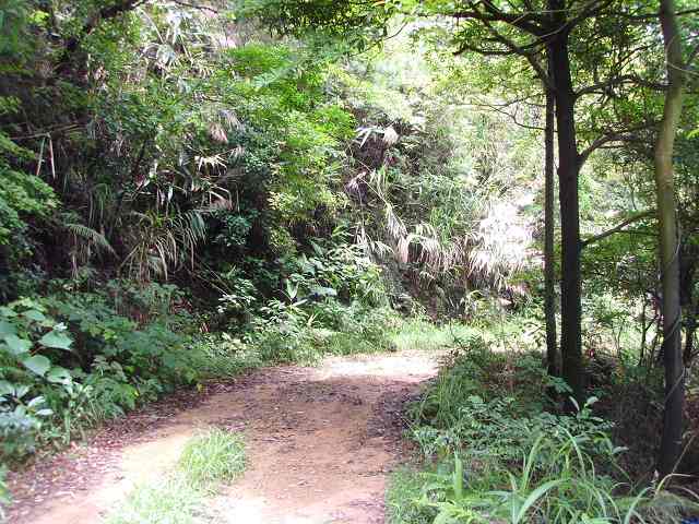 �羰���ǲ�����