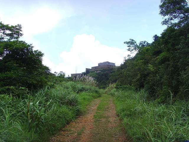 ���ڵ���