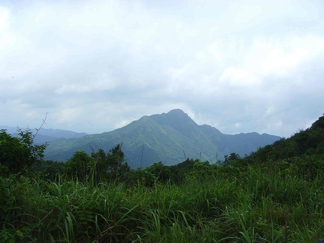 ���Ƿ��Ǵ���ɽ��?