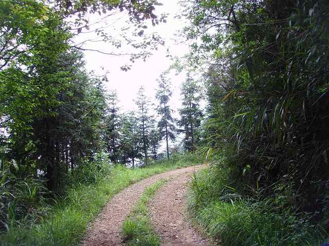 �о�����ˬ