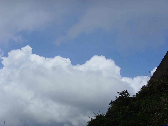 �����ܺ�,��ɹ.