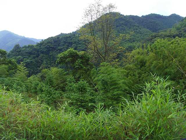 ������ˮ��,��֪�Ƿ����ٲ���?