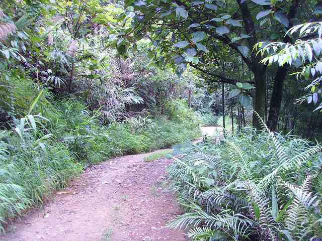 ��ɽ���ɶ���