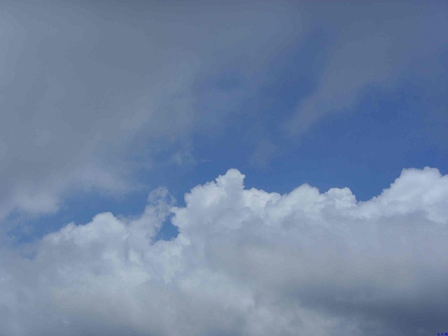 �����ܺ�,��ɹ.