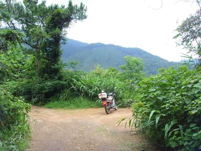 �ڰ�ɽ�ֲ�·,����߲�����ȷ��