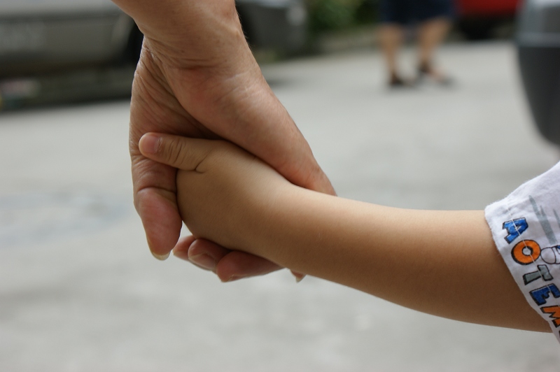 ������Ƭ,��������ֻ����ϵ�����������˰�