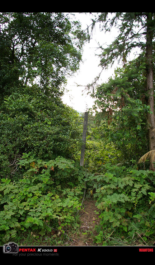 Ӫ�ظ���������