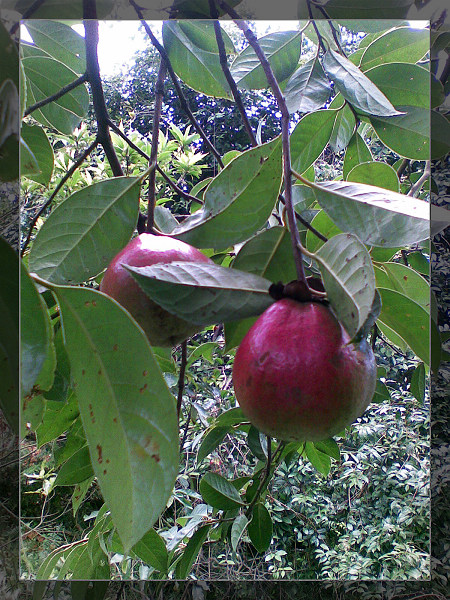 �������ж��ɣ�����