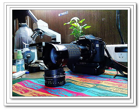 nEO_IMG_1111 (20).jpg